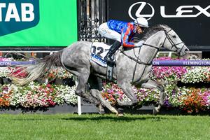 SA STAKES TEST FOR SEA WHAT I SEE